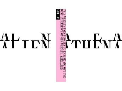 Home - Alien Athena Foundation for Art