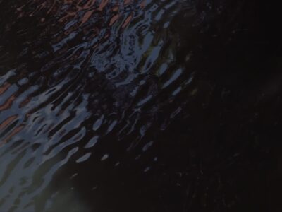 Atelierhaus 23 〜 Kunsthaus Atelierhaus Kunstgalerie Künstleratelier Kunstausstellung Kunstwerkstatt Kunstevents Kunstschaffende Kreativwerkstatt [Kunsthaus + Hamburg][Atelierhaus + Hamburg][Kunstgalerie + Hamburg] [Künstleratelier + Hamburg][Kunstausstellung + Hamburg][Kunstwerkstatt + Hamburg] Kunst für Sammler Kunstkauf Hamburg Originale Kunstwerke Hamburg Zeitgenössische Kunst Hamburg Künstlergemeinschaft Hamburg Kunstveranstaltungen Hamburg Kunstshows Hamburg Kunstmesse Hamburg Kunstevents Hamburg Vernissage Hamburg Abstrakte Kunst Hamburg Moderne Kunst Hamburg Traditionelle Kunst Hamburg Skulpturen Hamburg Fotokunst Kunst mieten Hamburg Kunst kaufen Hamburg Künstler buchen Hamburg Kunstberatung Hamburg Kunstinstallation Hamburg Kunst und Kultur Hamburg Kreativszene Hamburg Kunsthandwerk Hamburg Kunstkollektiv Hamburg Kunstnetzwerk Hamburg Atelier Kunst Hamburg Kunst Atelier Hamburg Hamburger Kunstszene Hamburger Künstleratelier Kunstschaffende in Hamburg Atelier mieten Hamburg Kunst kaufen Atelier Hamburg Atelier Kunstausstellungen Hamburg Kunstevents im Atelier Hamburg Atelier für zeitgenössische Kunst Hamburg Kunstworkshops im Atelier Hamburg Atelier Kunstveranstaltungen Hamburg Kunst und Kreativworkshops Hamburg Atelier Vernissagen Hamburg Kunstshows im Atelier Hamburg Hamburger Künstler und Ateliers Moderne Kunst Ateliers Hamburg Traditionelle Kunst Ateliers Hamburg Atelier für abstrakte Kunst Hamburg Hamburger Kunst und Künstler Atelier für Kunstliebhaber Hamburg Kunst für Sammler aus Hamburger Ateliers Atelierbesuche in Hamburg Kunstführungen durch Hamburger Ateliers Kunstberatung im Atelier Hamburg Kunstgemeinschaft Atelier Hamburg Künstlernetzwerk und Ateliers Hamburg Atelier und Kunstkollektiv Hamburg Künstlergemeinschaft Atelier Hamburg Kunst und Atelier Treffpunkt Hamburg Atelier für Fotokunst Hamburg Skulpturen Atelier Hamburg Malerei Atelier Hamburg Bildhauer Atelier Hamburg Atelier für digitale Kunst Hamburg Kunstmarkt- und Handelsbezogene Keywords: Kunstmarkt im Atelier Hamburg Kunsthandel Atelier Hamburg Atelier Kunstverkauf Hamburg Kunstauktionen im Atelier Hamburg Originalkunst aus Hamburger Ateliers kaufen