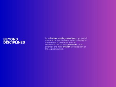 BEYOND DISCIPLINES