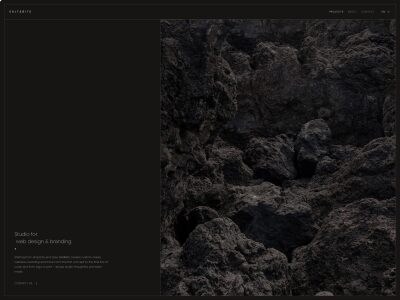 Salt&Bits • Studio for  web design & branding