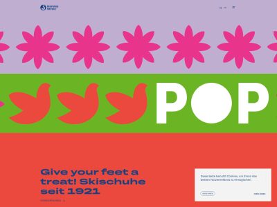 Hannes Strolz | Der beste Skischuh für ihren Fuß