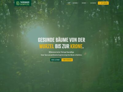 Thüringer Baumpflege | Astreine Schnitte!