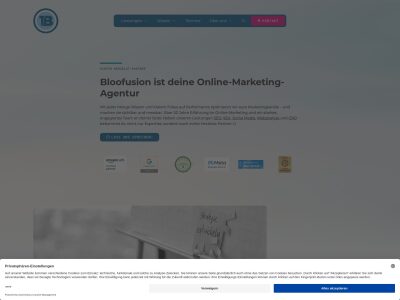 Online-Marketing-Agentur Bloofusion: SEO, SEA + mehr