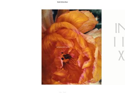 Studio Mathieu Meyer - Studio Mathieu Meyer