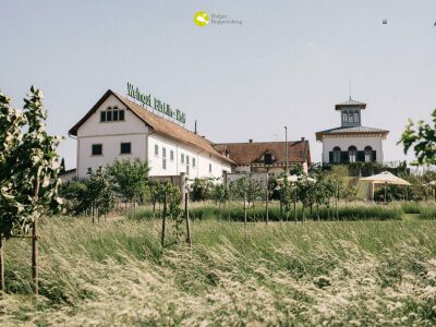 Hofgut Ruppertsberg – Biogastronomie in der Pfalz
