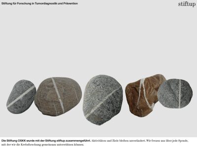 stiftup – Stiftung für Forschung in Tumordiagnostik und Prävention